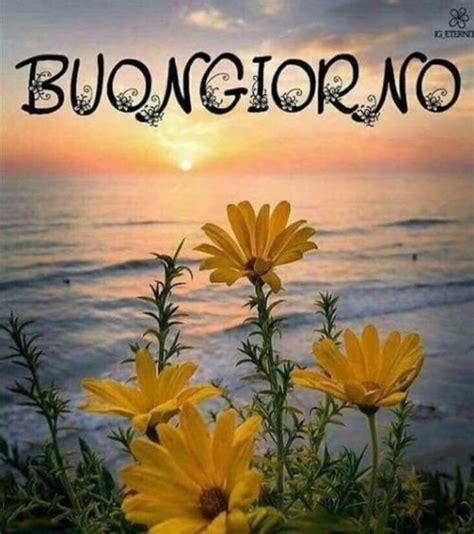 buona giornata immagini|immagini buongiorno gratis.